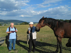 Heimerad Gedenkfeier auf dem Hasunger Berg